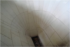 projects polyplast